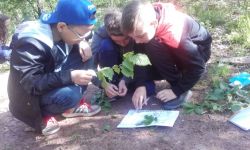 Classe Decouverte   097